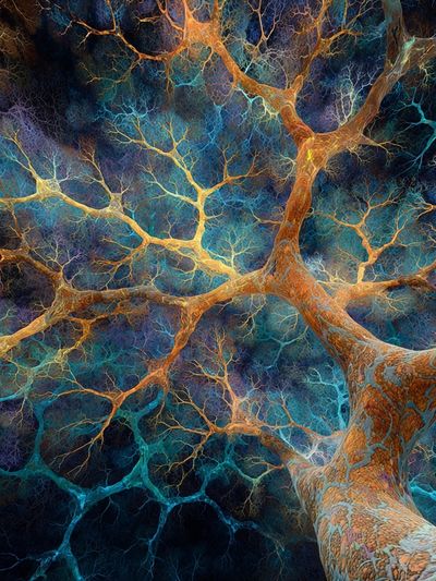 Neural Network Abstract Poster. poster print