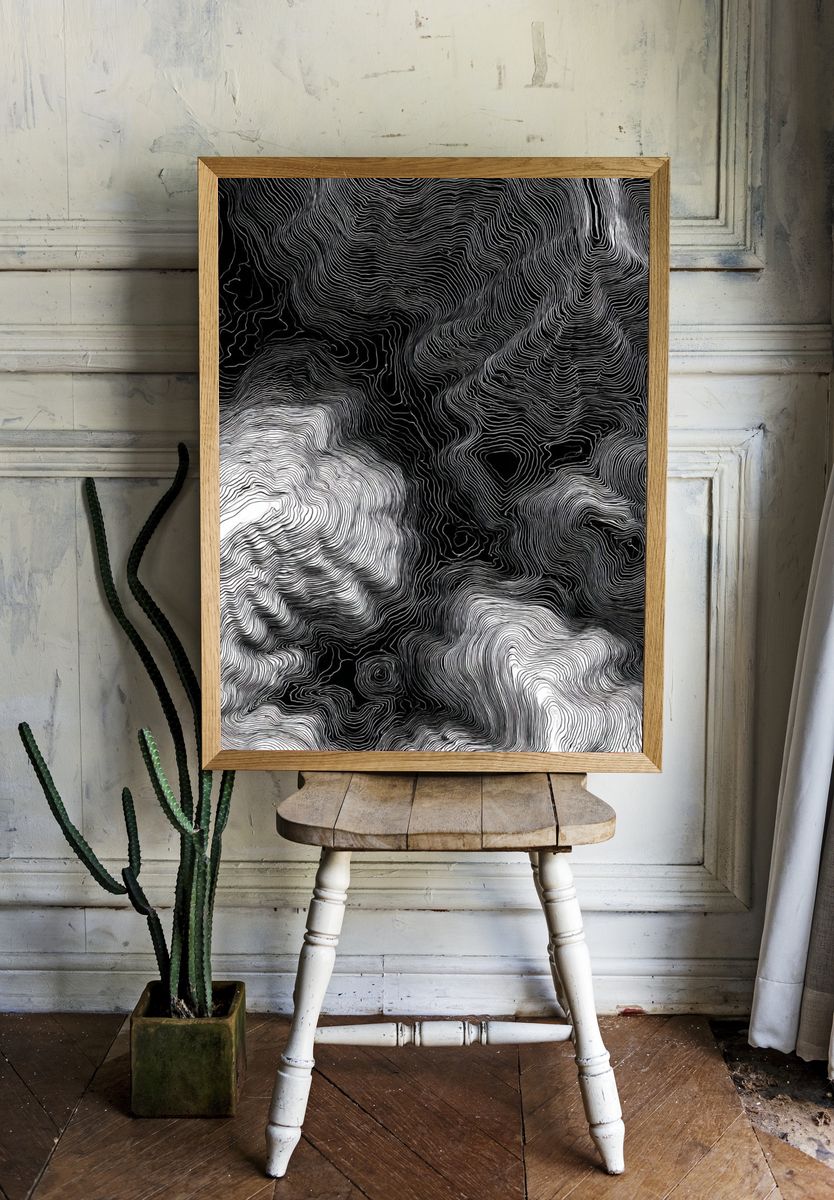 Abstract Black and White Contour Lines Poster. — room view 1