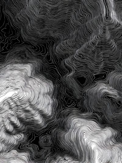 Abstract Black and White Contour Lines Poster. poster