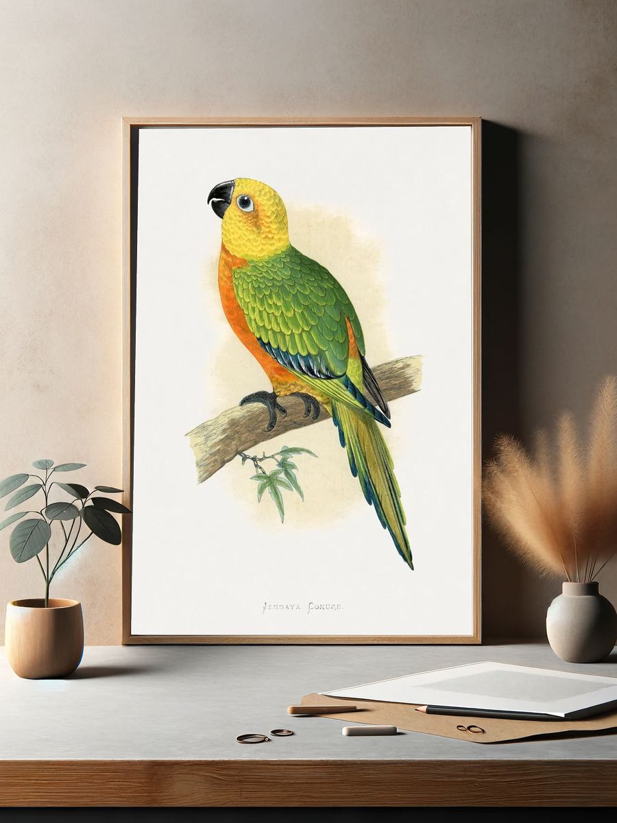 Jendaya Conure Bird Illustration Poster. — room view 2