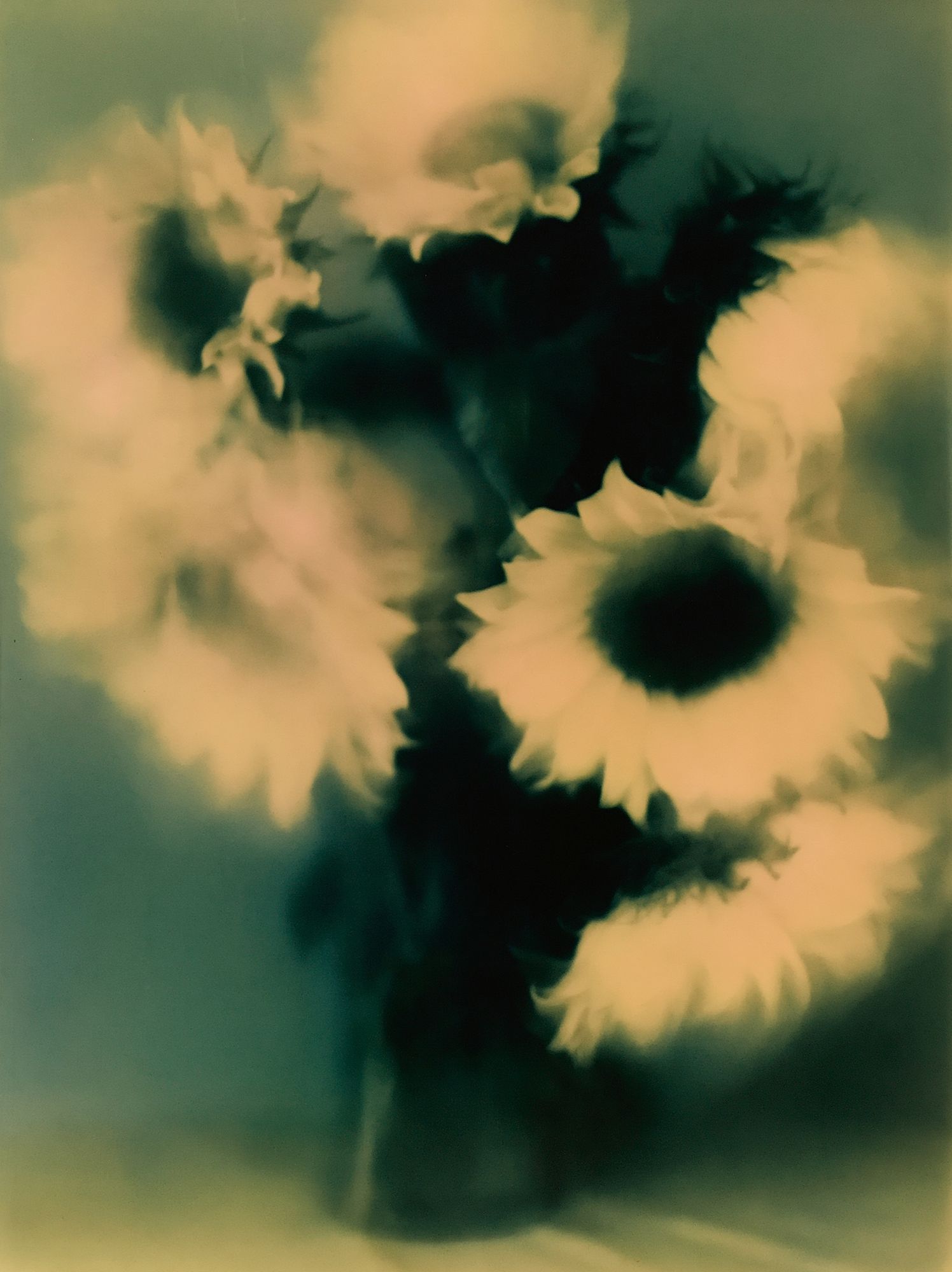 Abstract Floral Bloom Print. poster — abstract art