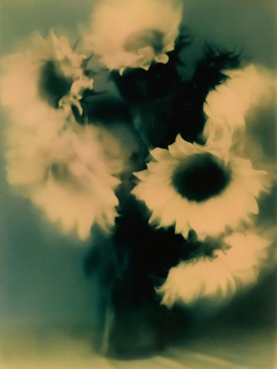 Abstract Floral Bloom Print.