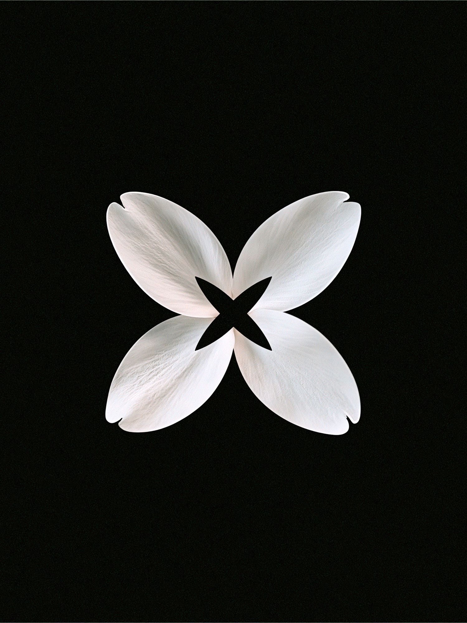 White Petal Bloom Abstract Print. poster — abstract art