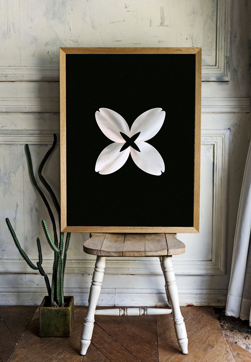 White Petal Bloom Abstract Print. room preview