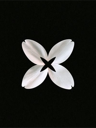 White Petal Bloom Abstract Print.
