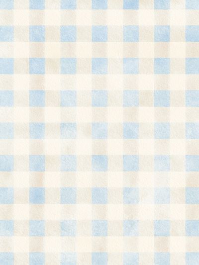 Blue Gingham Pattern Print.