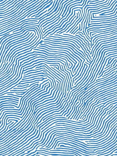 Blue Topographic Lines Abstract Poster. poster