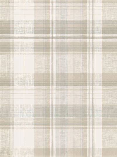 Neutral Plaid Texture Abstract Print. poster
