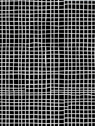 Woven Grid Black-White Poster. poster