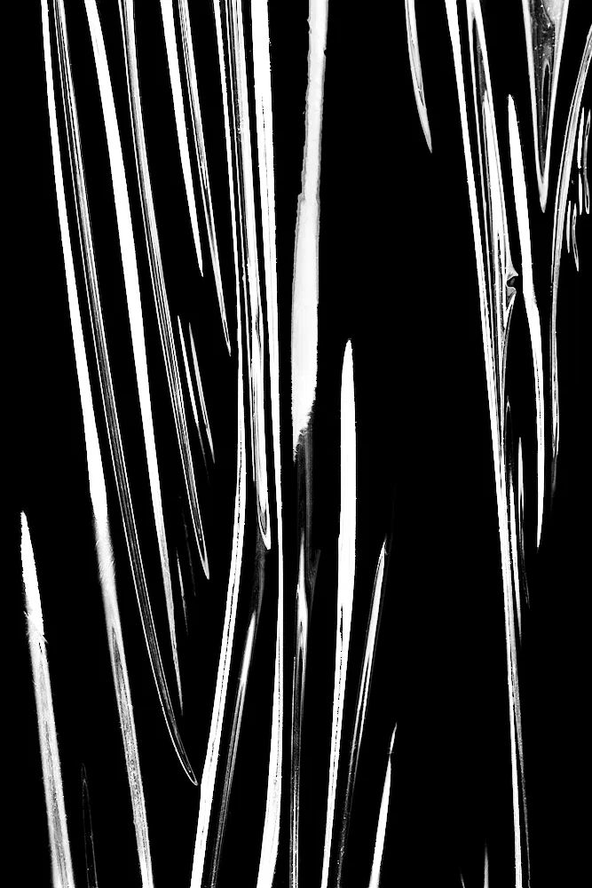 Abstract Black and White Lines Poster. poster — abstract art