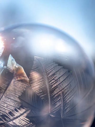 Frosted Feather Orb Abstract Poster. poster print