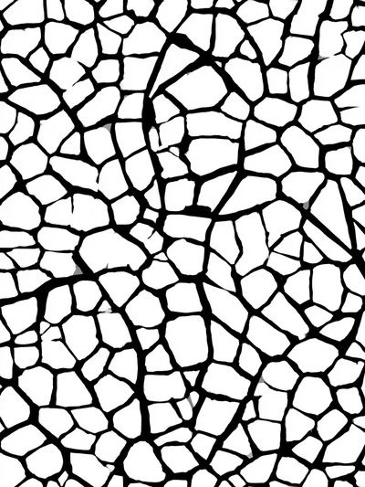 Cracked Mosaic Black-White Poster. poster