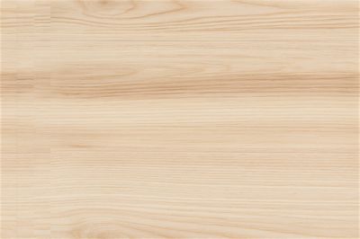 Light Birch Wood Texture Print. poster