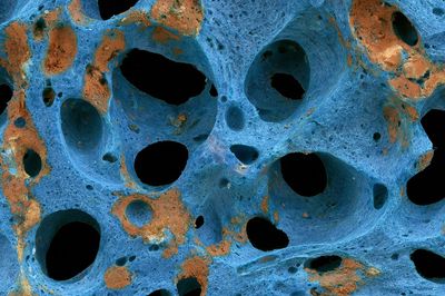 Blue Coral Texture Abstract Poster.