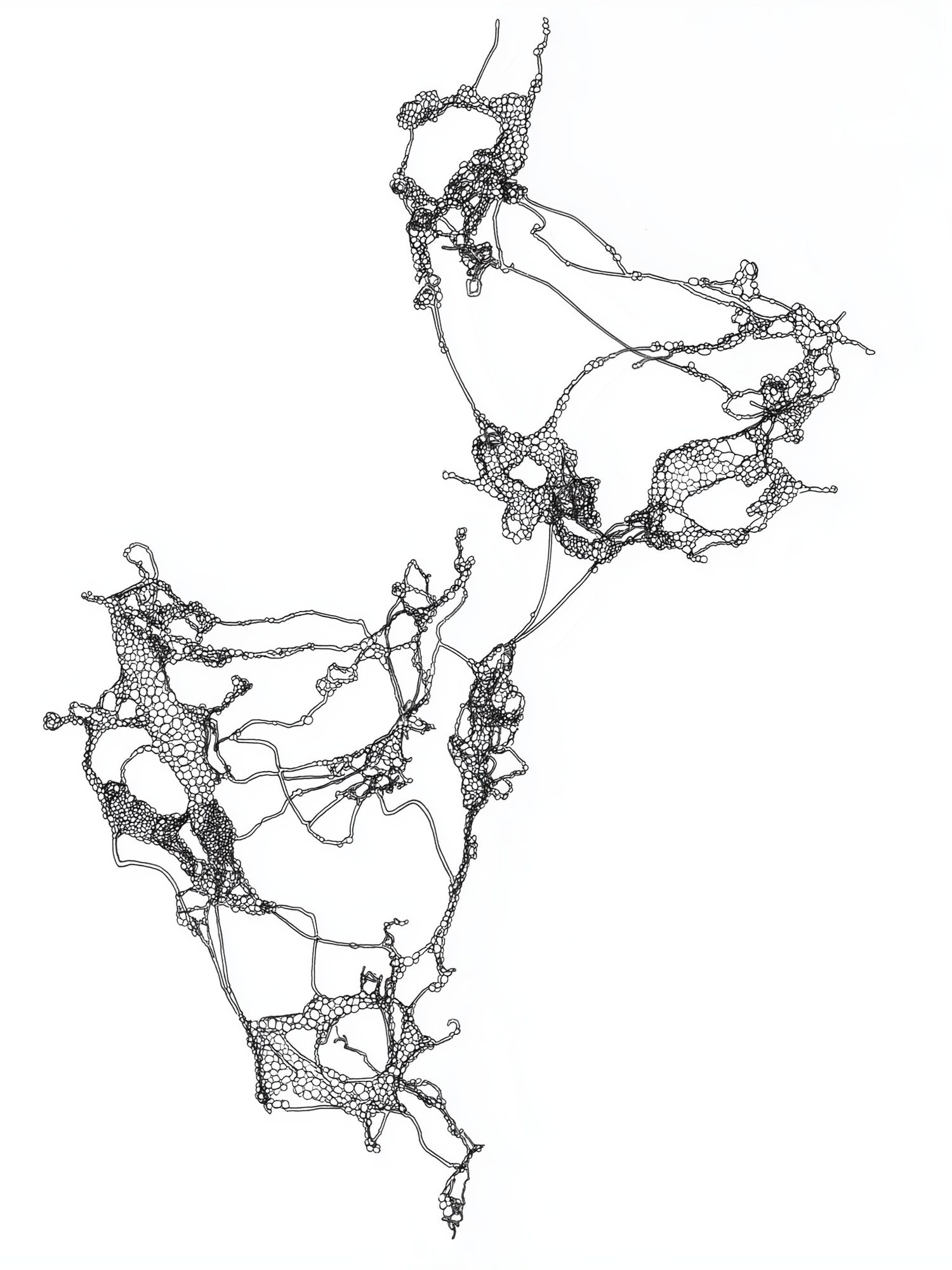 Organic Network Line Art Poster. poster detail