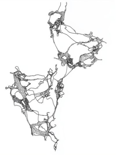 Organic Network Line Art Poster. poster