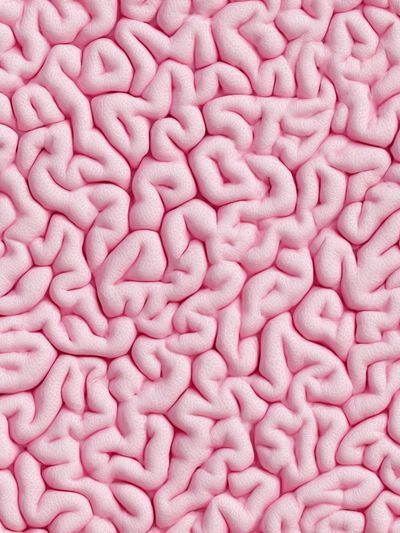 Abstract Brain Texture Poster. poster