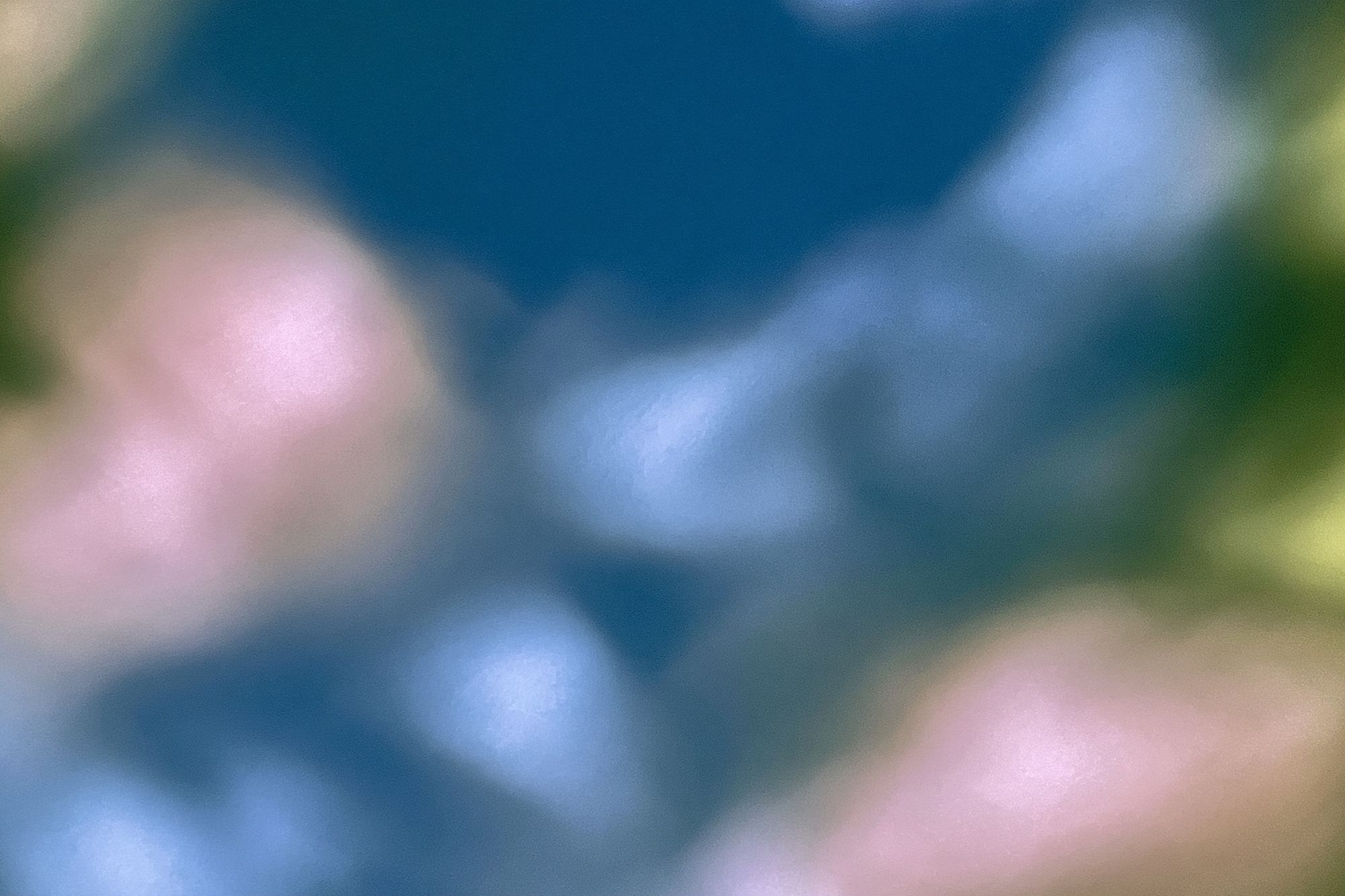 Soft Bokeh Abstract Poster. poster detail
