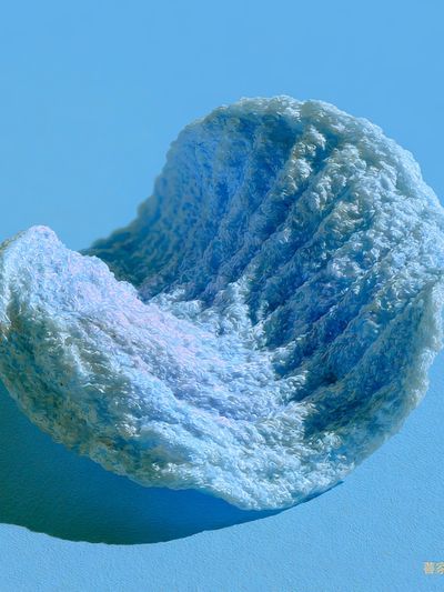 Blue Shell Sculpture Print.
