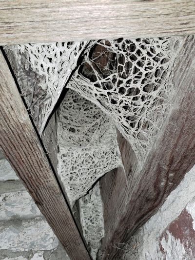 Rustic Wood Texture Abstract Poster. poster