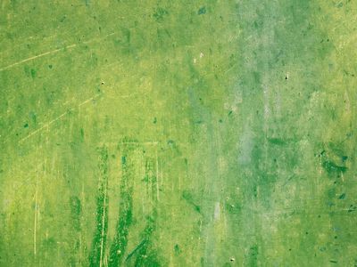 Green wall background, free public.