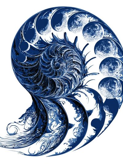Celestial Nautilus Abstract Print. poster
