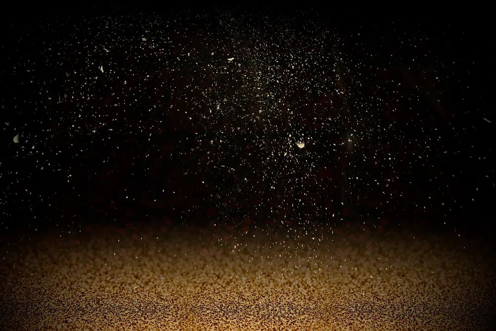 Gold confetti on dark background. poster — abstract art