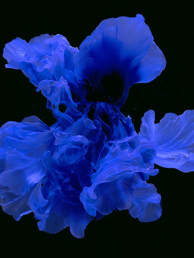 Blue Floral Abstract Poster. poster — abstract art