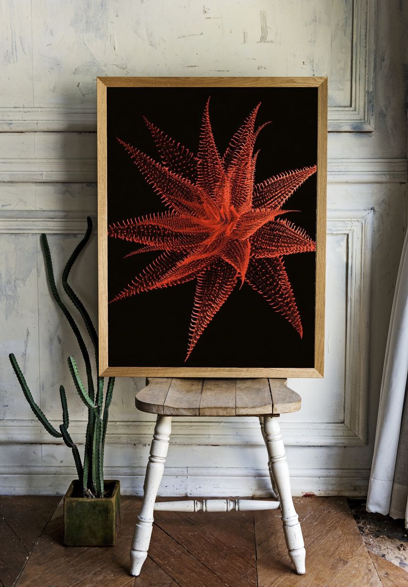 Crimson Starburst Abstract Print. room preview