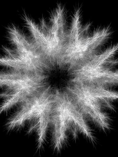 Feather Burst Abstract Print. poster