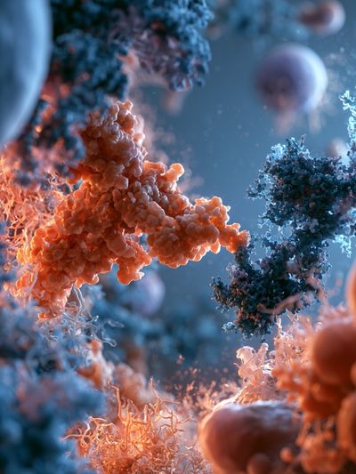 Cellular Microcosm Abstract Poster.