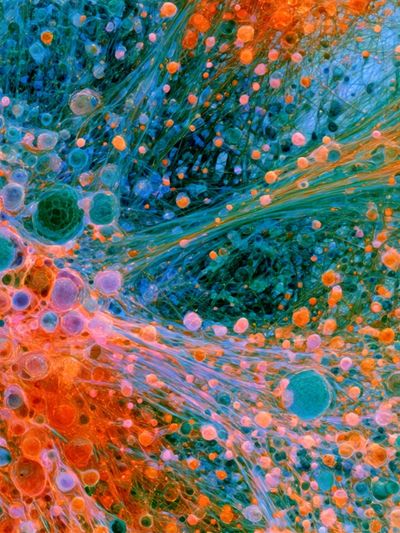 Vibrant Fluid Abstract Poster.