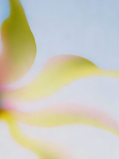 Soft Yellow Abstract Flow Poster. poster — abstract art