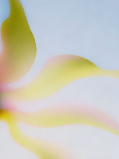 Soft Yellow Abstract Flow Poster. poster