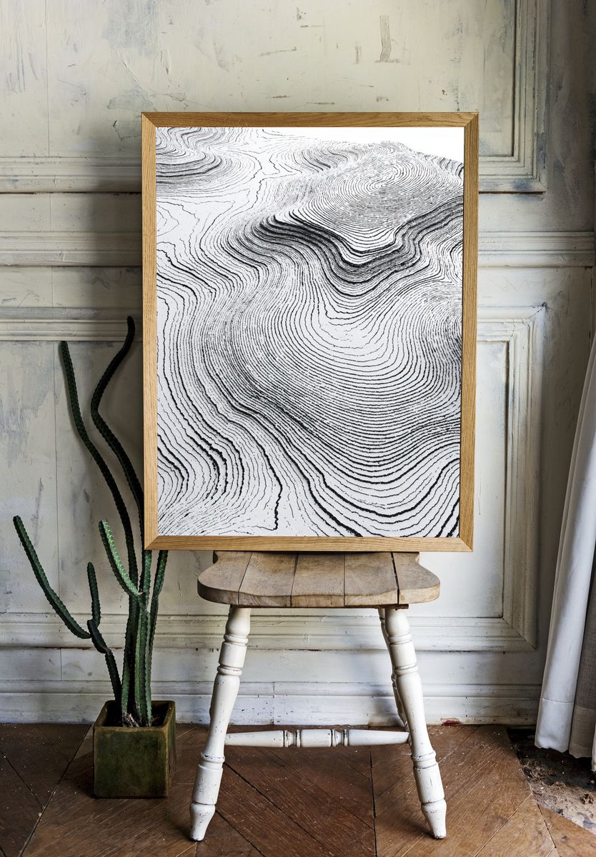 Contour Lines Abstract Poster. room preview