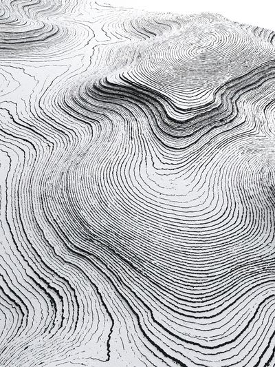 Contour Lines Abstract Poster.