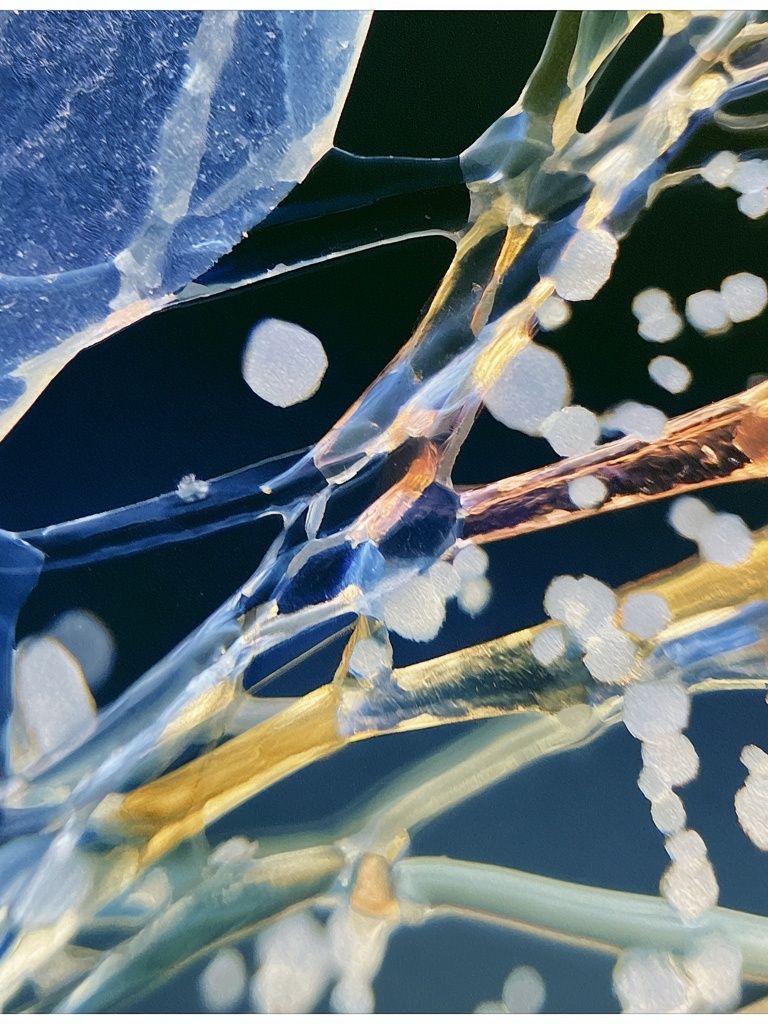 Ice Crystal Abstract Poster. poster detail