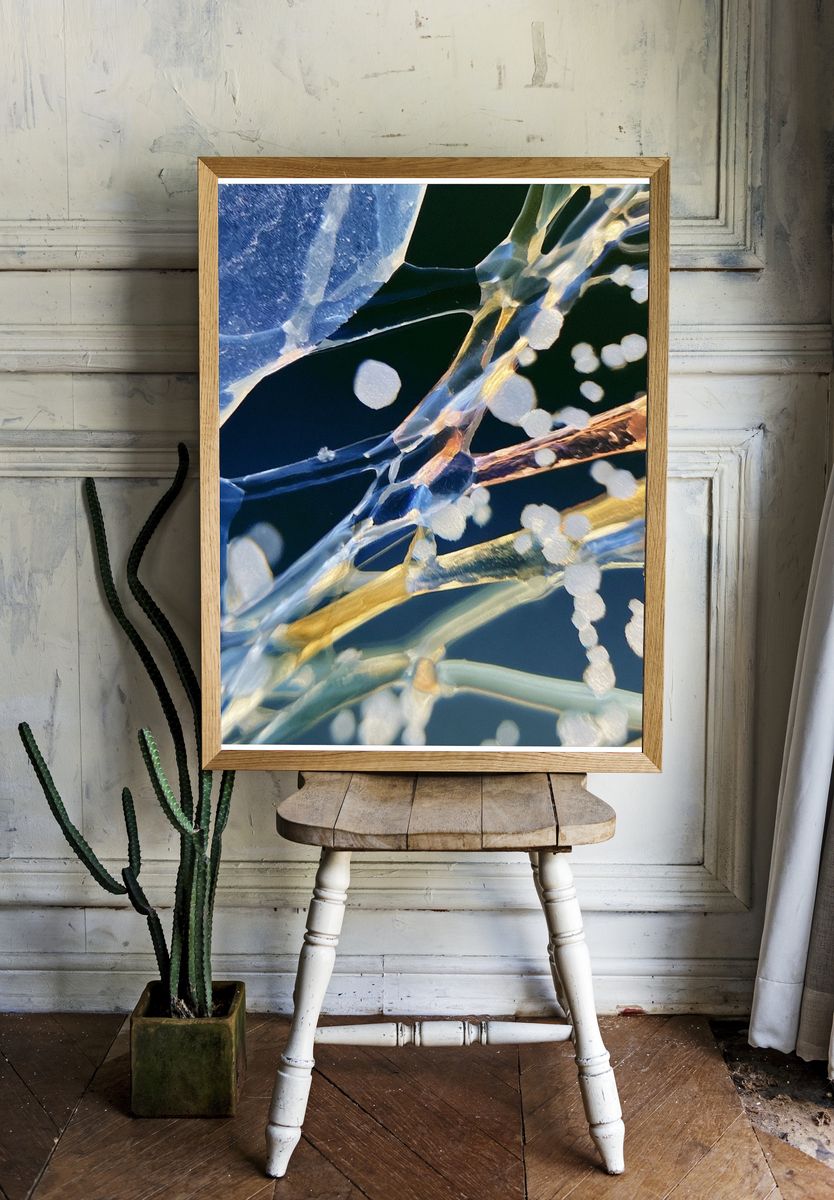 Ice Crystal Abstract Poster. — room view 1