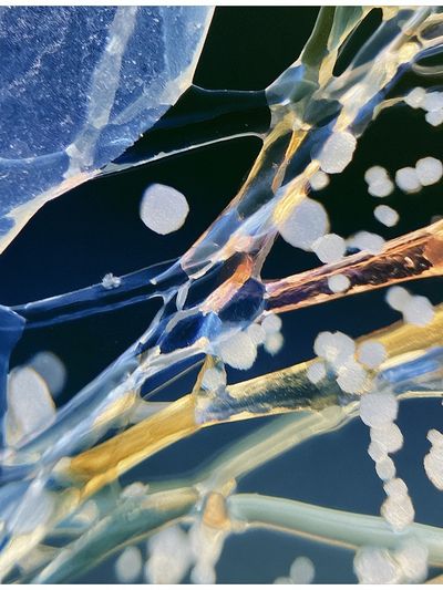 Ice Crystal Abstract Poster.