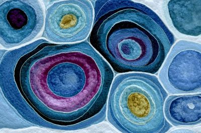 Blue Concentric Circles Abstract Poster.