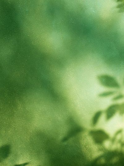 Soft Green Foliage Abstract Print.