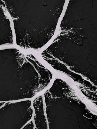 Cracked Marble Veins Abstract Poster.
