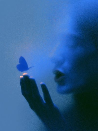 Blue Butterfly Silhouette Abstract Print. poster