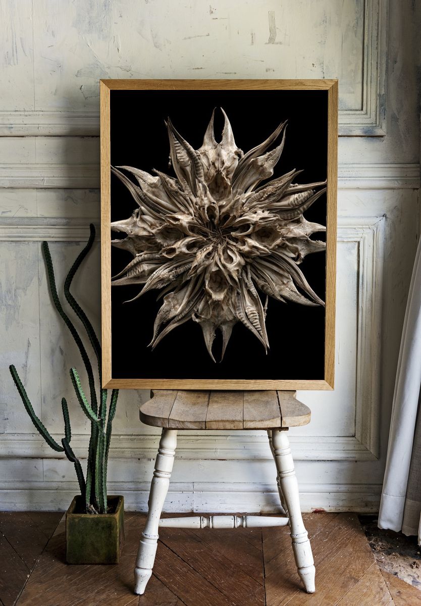 Bone Starburst Abstract Print. room preview