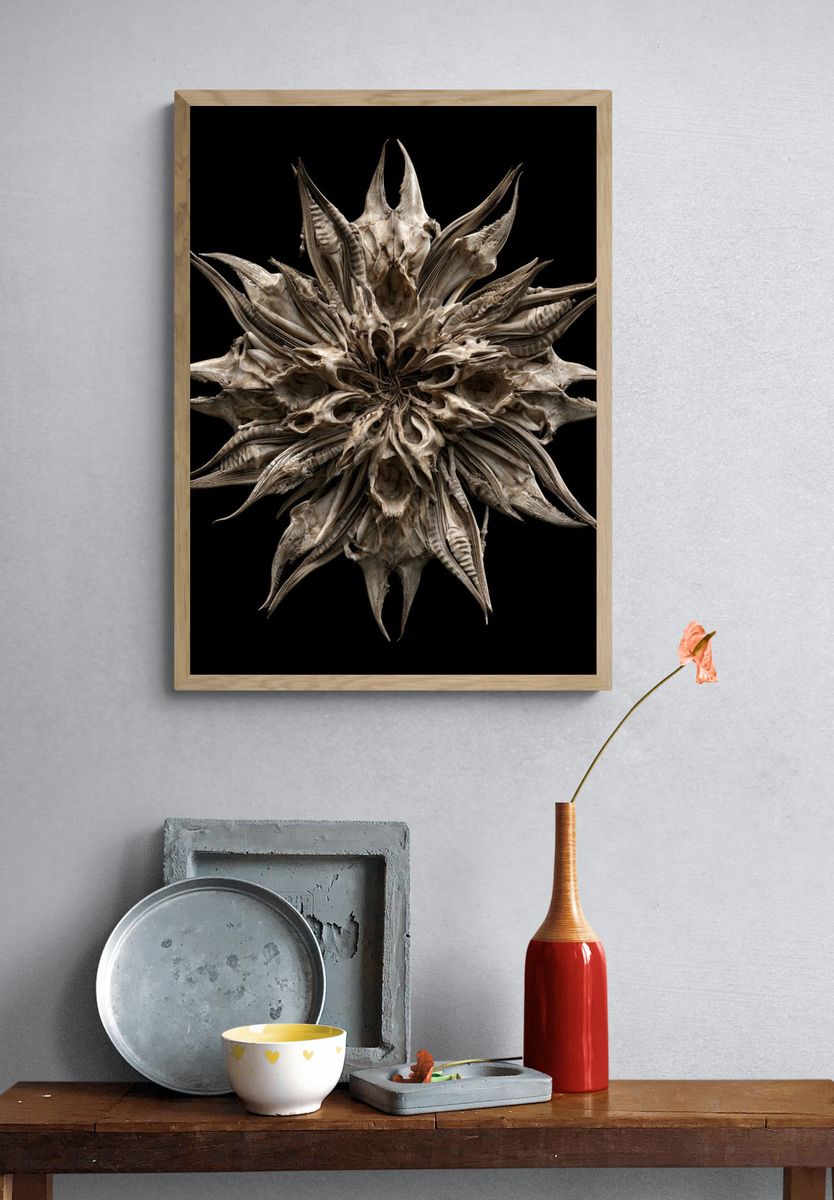 Bone Starburst Abstract Print. — room view 3