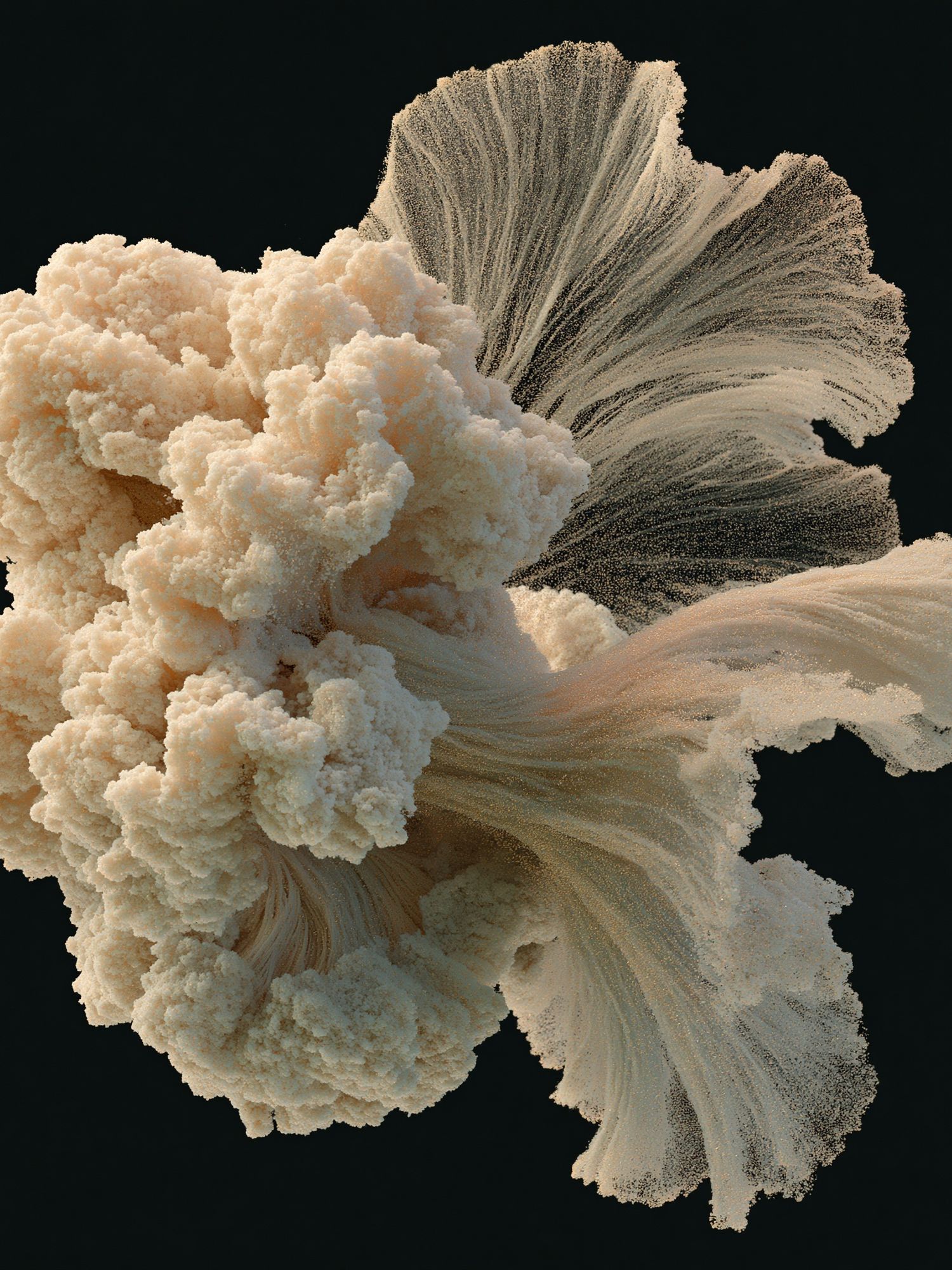 Cream Coral Abstract Poster. poster detail