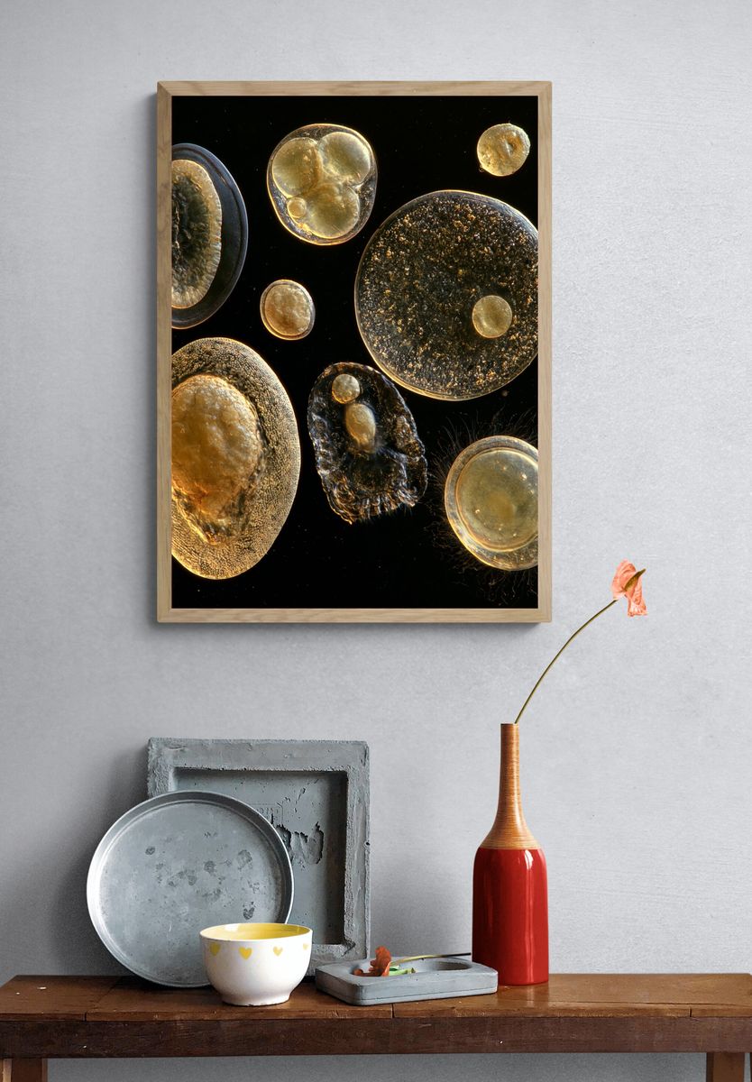 Golden Cell Forms Abstract Poster. — room view 3