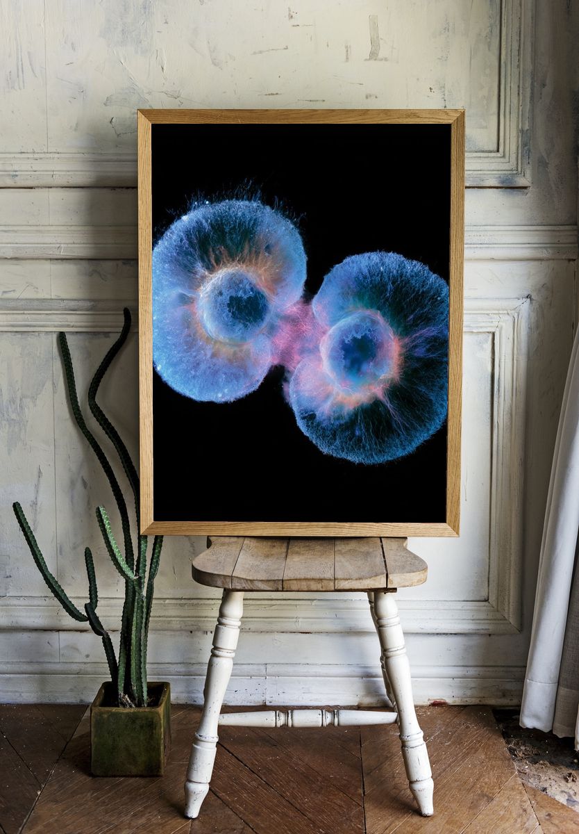 Bioluminescent Jellyfish Abstract Print. room preview