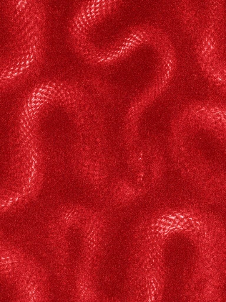 Crimson Velvet Texture Poster. poster detail
