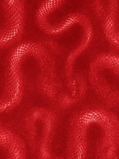 Crimson Velvet Texture Poster.
